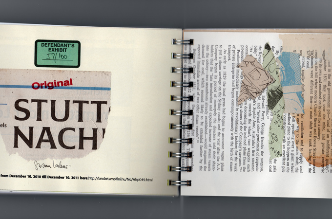 2011 Field Report pages