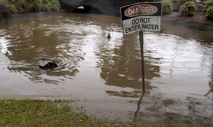 East Creek Toowoomba near Herries St Toowoomba  Photo: Doug Spowart