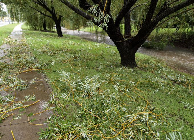 OLYEast Creek Toowoomba along Kitchener St Toowoomba  Photo: Doug Spowart