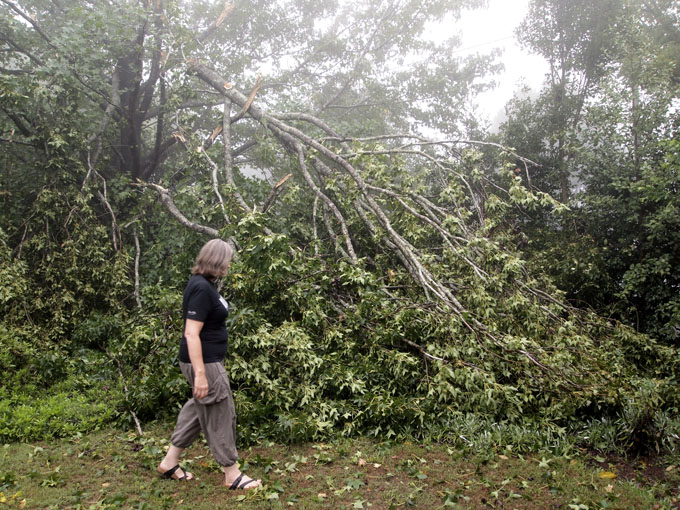 Fallen tree Margaret Street residence  PHOTO: Doug Spowart