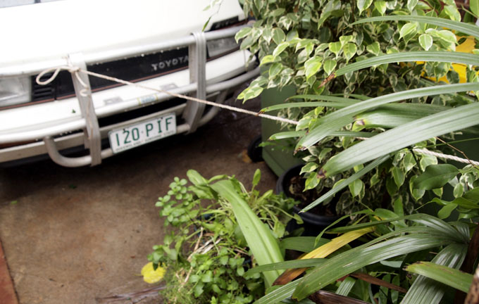 Tethered pot plants  PHOTO: Doug Spowart