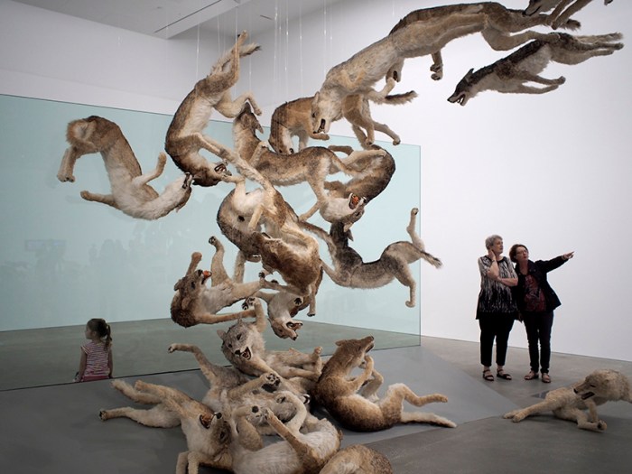 Cai Guo-Qiang: Head on 2006, GOMA.   Photo: Doug Spowart