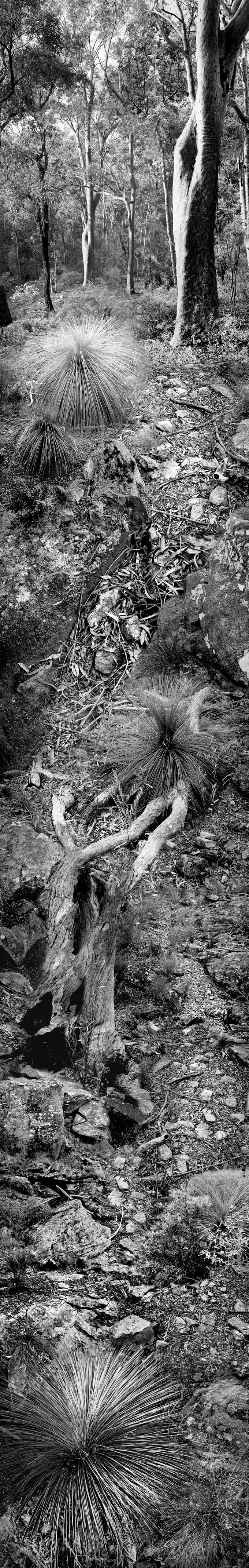 Story of the Hillside