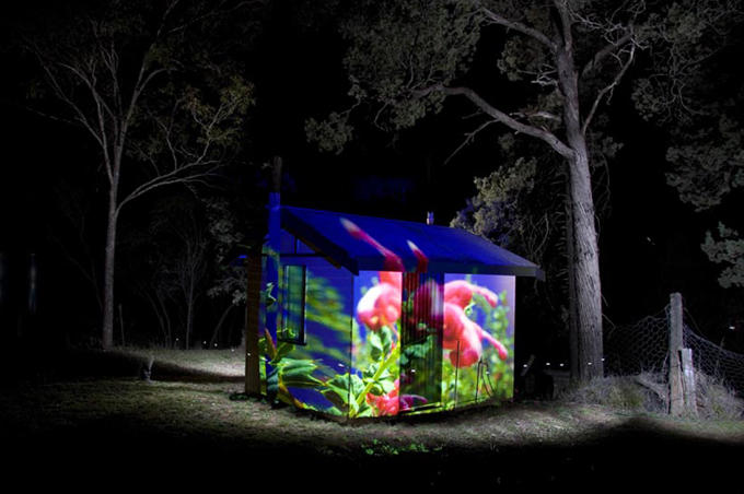 Projection - Myall Park Botanic Gardens.jp