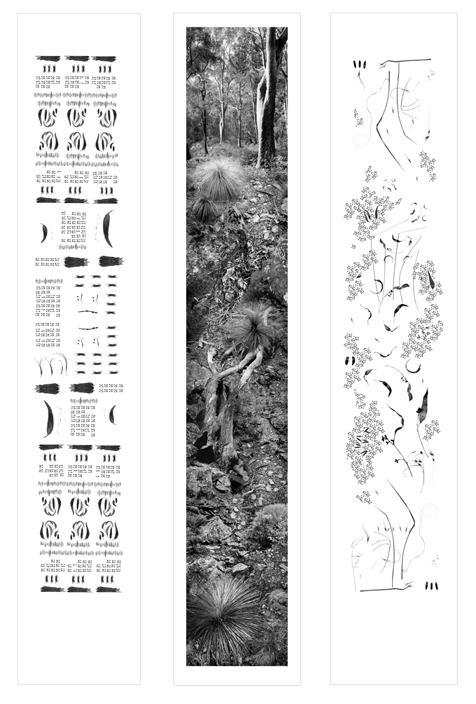 The Chaos and Order scrolls alongside the Hillside scroll