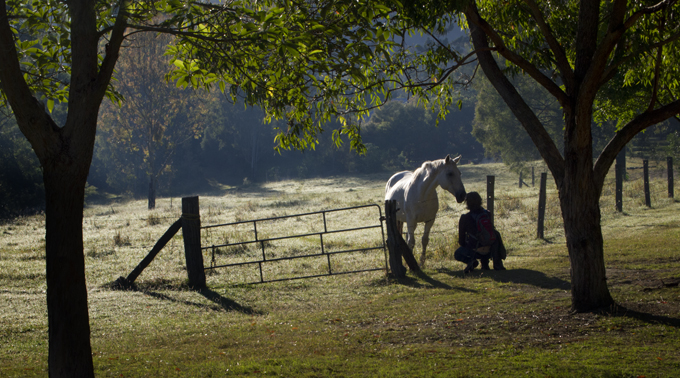 Mt Barney - ©Cooper+Spowart