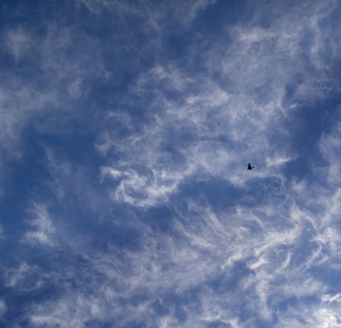 Mt Barney - ©Cooper+Spowart