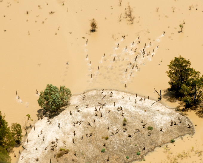 "Flood victums' by Rick