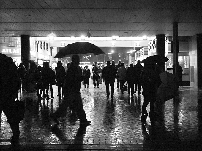 Citizens of Sydney by Doug Spowart ©2013
