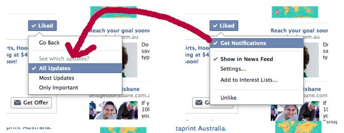 FB-Like+Notifications-info