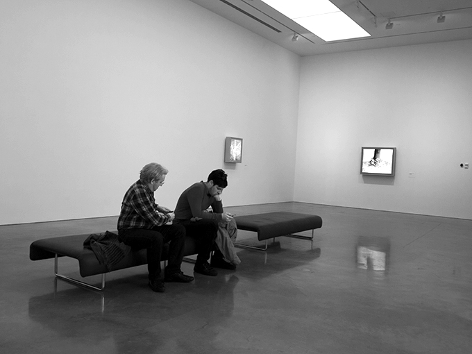 Citizens of Sydney by Doug Spowart ©2013