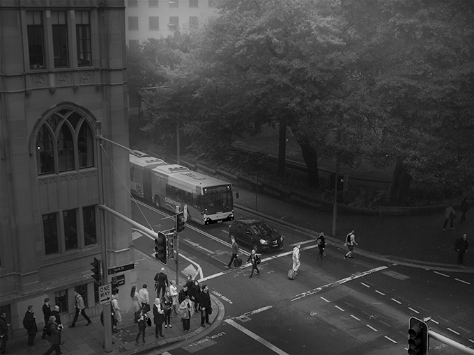 Citizens of Sydney by Doug Spowart ©2013