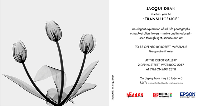 Translucence invitation