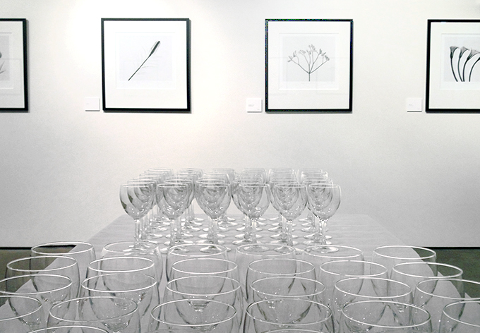 Translucence x2. . iPhone Photo: Doug Spowart