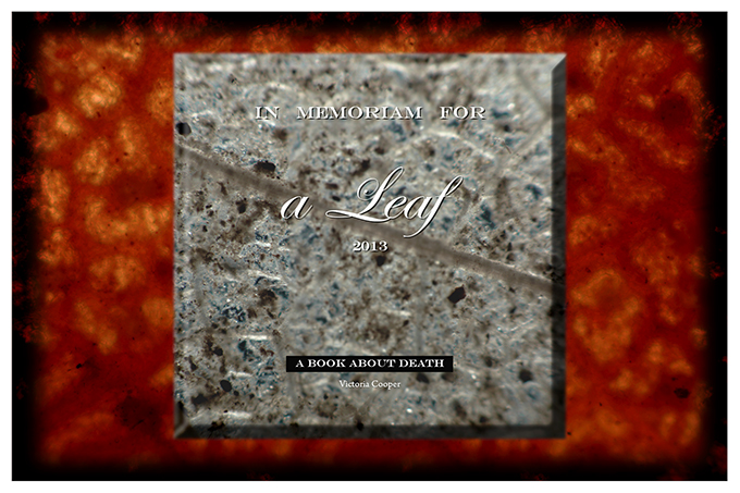 Vicky's contribution to the ABAD exhibition