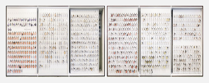 The New Village With 3048 beds, The MAC Coppabella is one of the largest workers villages in Australia and larger than many towns in the region. Up to 1000 people will check in or out on any given day.