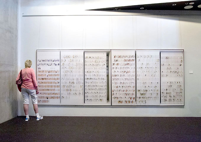  'The New Village'  Photo: Doug Spowart