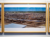 Grassdale Feedlots ... Photo installation (detail): Victoria Nikolova