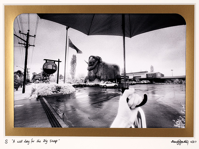 S  Sheep. The Australia economy was once described as living off the sheep’s back. Immortalized here is a giant merino variety attracting pilgrims to its past glory. Goulburn, New South Wales.