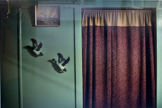 "Some Trash, Others Treasure" Pioneer Park Museum in Dalby seems a place suspended in time, somewhere around the beginning of the 20th century. Located on Black Street - once very quiet and peaceful but nowadays one of the main truck parking spots in town - the museum is a magical space with colonial houses and antique machinery, accompanied by rustling of leaves and birds trill. Elaine and Daniel Fox, the main founders, have lived on-site for almost 11 years, taking care of this magical place on a daily basis. They began 23 years ago with only seven antique tractors. Today, they can boast of one of the largest collections of operating antique agricultural machinery in Queensland - some of which date back to the early 19th century. Together with a few passionate volunteers they keep the place alive and once a year, during Field Weekend, the town of Dalby travels in time to discover again the old knowledge, tradition and way of living of their ancestors. The Museum is mostly financed by an annual fund from the local government, entry tickets, and the craft shop income and he Field Day. However, it is hard enough to keep it working, with a fast developing technology and little funding; they struggle to keep their museum operating in the modern, quickly changing mining town, that Dalby as become. ... Photo:  Kasia Strek