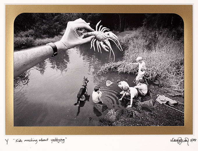 Y  Yabbie. Any form of the Australian freshwater crayfish of the genus Cherax. Yabbying or catching yabbies is a favourite pastime of Australian kids. Near Nerang, Queensland. 