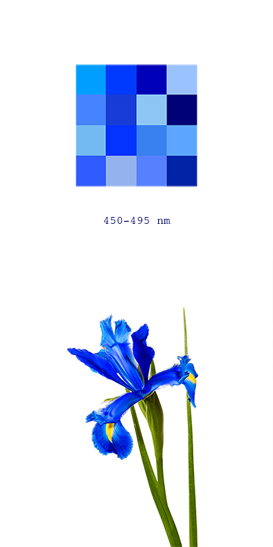 The Colours of Light by Craig Seipel