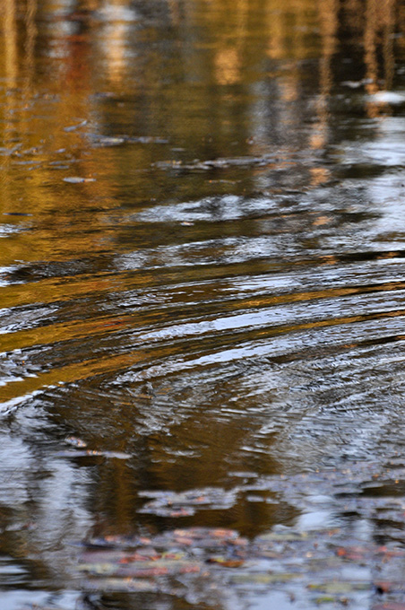 The colours of tranquiity by Sandra McEwan