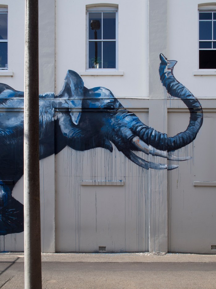 Fintan Magee: 492 Ruthven Street: PHOTO Doug Spowart ©2014