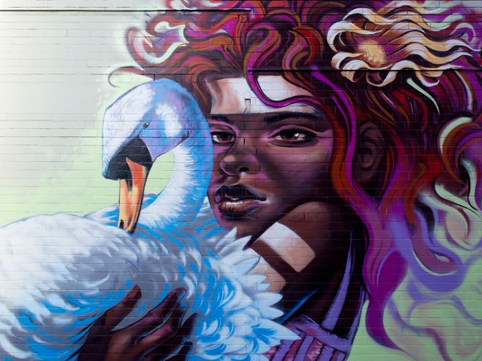 Gimiks Born: Bank Lane