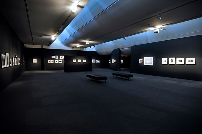 The Monash Gallery of Art WILDCARDS Exhibition - The walls were painted black!