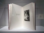 Books as Art: 30 years in the making Catherine McCue Boes Bundaberg Regional Art Gallery