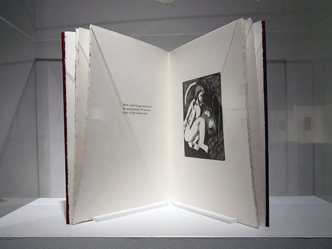 Books as Art: 30 years in the making Catherine McCue Boes Bundaberg Regional Art Gallery