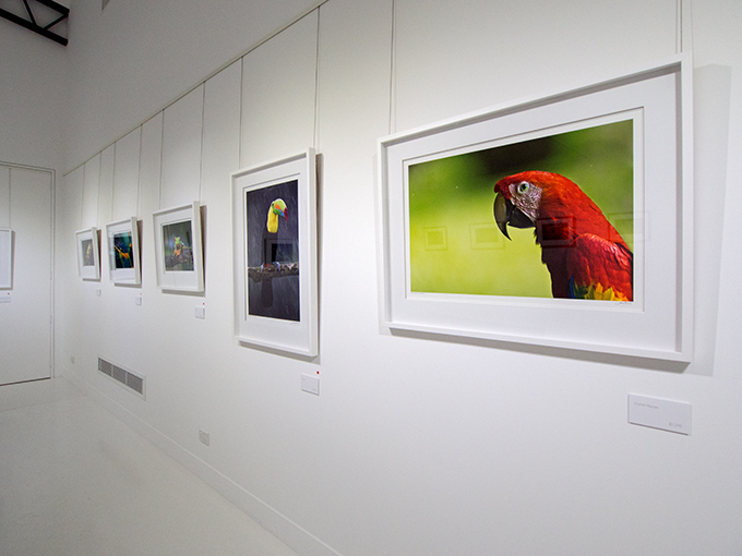 Maud Gallery installation