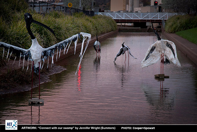 ___Jabiru-tight_6407-1000