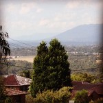 Natural CollectionIMG_2291-1000