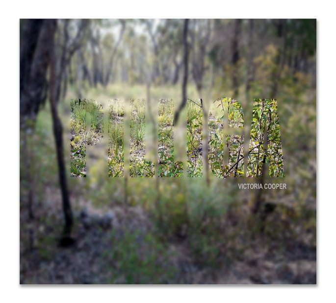 Pilliga- Cover-new-72