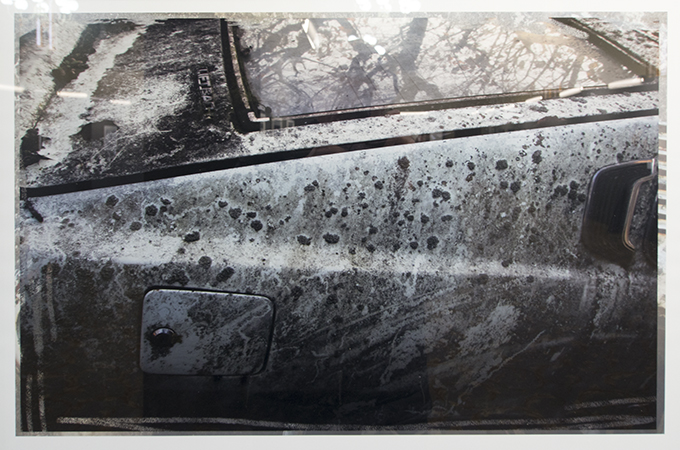 Michelle Vannier's 'Car Graveyard'