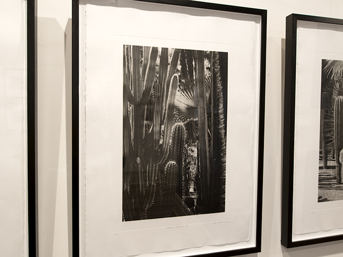 One of Silvi's gravures