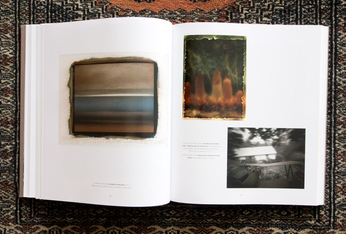 Vicky's 'Banksia lineup'