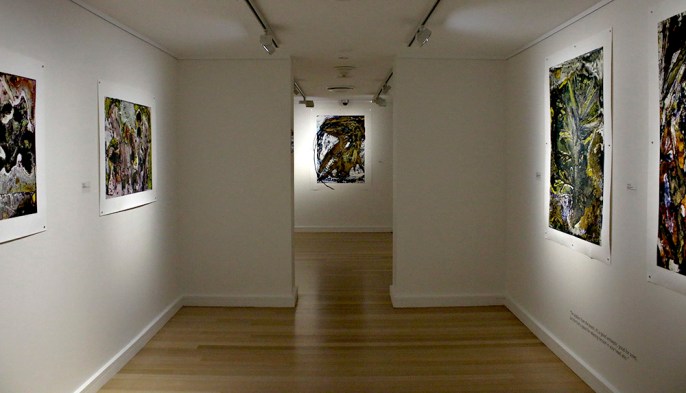 'Medicinal Plant Cycles' installation