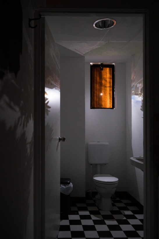 The camera obscura in the Maud toilet PHOTO: Louis Lim