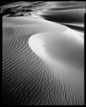 Moreton Island dune  Photo © Doug&nbsp;Spowart