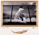 From the ICONS series  Photo © Doug&nbsp;Spowart