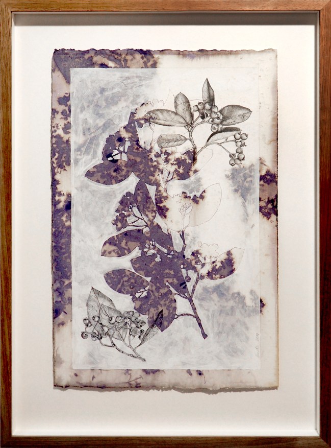 Debris 1 Linda Spowart 2019Ink, gesso and graphite on cotton .......... PHOTO: Doug Spowart