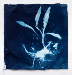 Screen Shot 2019-08-20 at 2.07.57&nbsp;pm