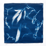 Screen Shot 2019-08-20 at 2.29.06&nbsp;pm