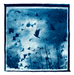 Screen Shot 2019-08-20 at 2.51.20&nbsp;pm