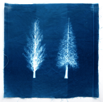 Screen Shot 2019-08-20 at 3.33.07&nbsp;pm