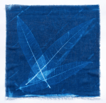 Screen Shot 2019-08-20 at 3.37.46&nbsp;pm