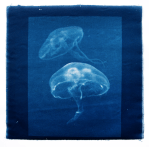 Screen Shot 2019-08-20 at 4.03.11&nbsp;pm